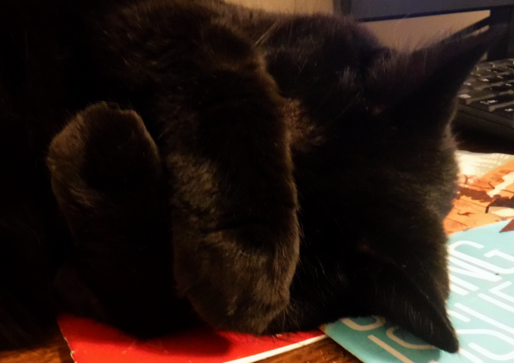 Lily - "No ... and don't ask me again!"